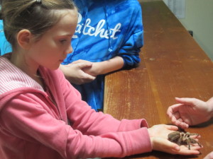 Mariah holding a tarantula . . . maybe jungle missions is in these girls' futures?