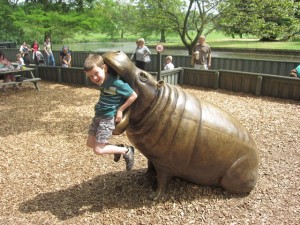 How he wedged himself in the hippo's mouth, I don't know!